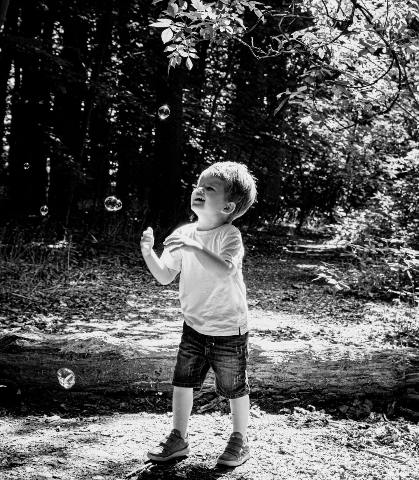 A young boy playing with bubbles in a wooded area, surrounded by trees.